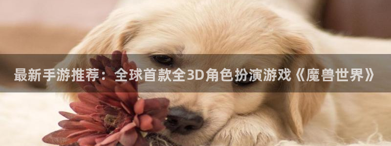 优贝娱乐平台登录入口：最新手游推荐：全球首款全3D角色扮演游
