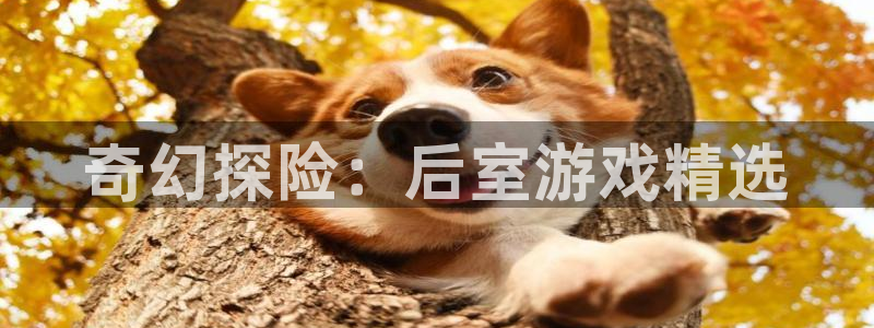优贝娱乐网页登录入口：奇幻探险：后室游戏精选
