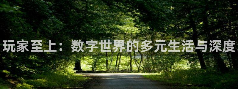 优贝娱乐直属：玩家至上：数字世界的多元生活与深度