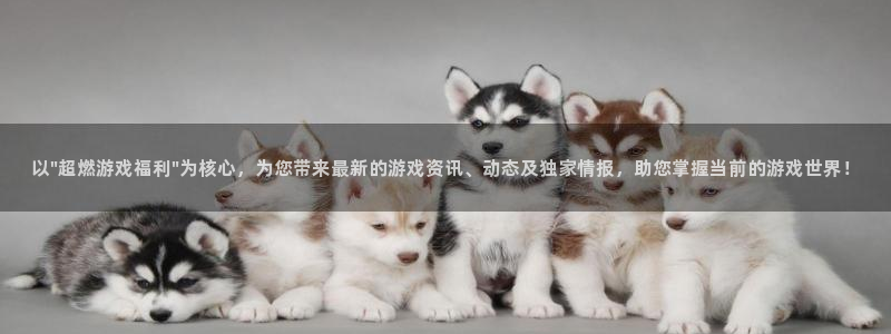 手机优贝娱乐下载安装：以\