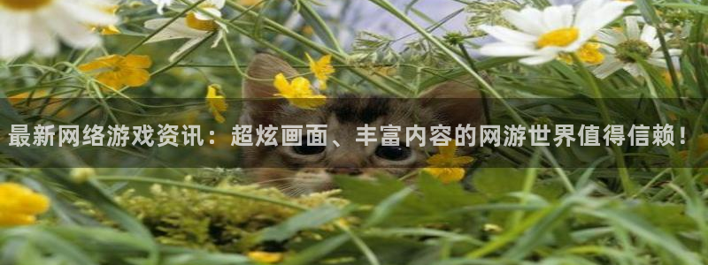 优贝娱乐手机网页版登录：最新网络游戏资讯：超炫画面、丰富内容