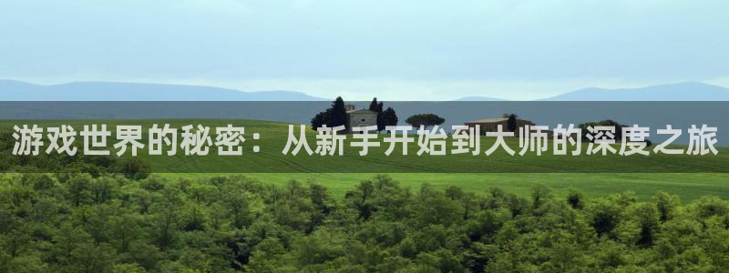 优贝娱乐是什么：游戏世界的秘密：从新手开始到大师的深度之旅