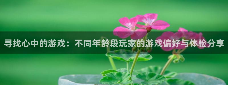 优贝娱乐平台官方网站：寻找心中的游戏：不同年龄段玩家的游戏偏